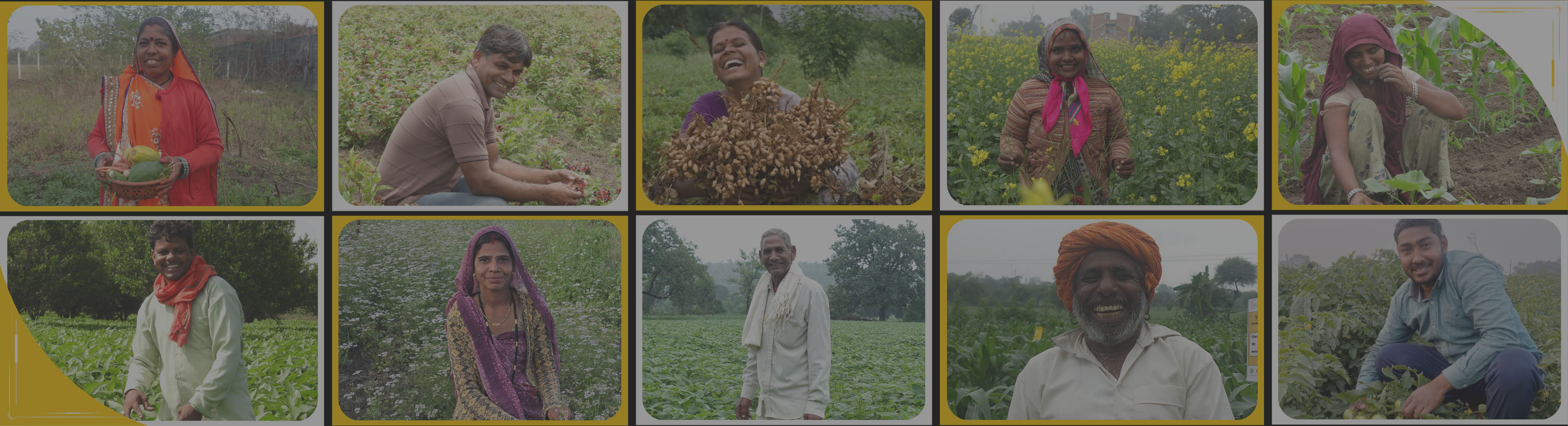 Farmer Producer Organizations in India